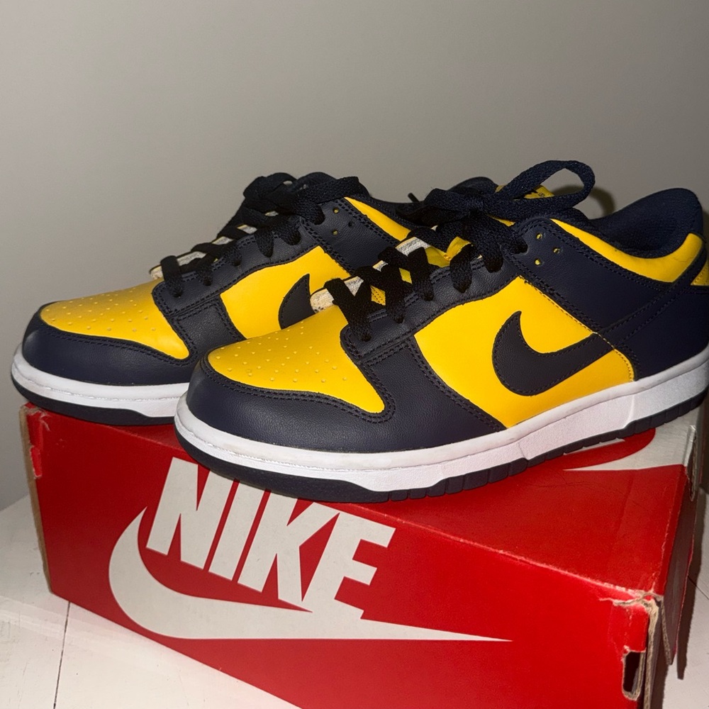 Nike Dunk Low Michigan
